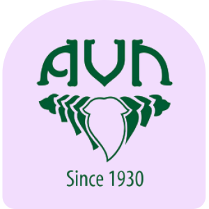 AVN